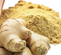 Ginger Powder (5lbs Bag)