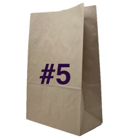 Brown Paper Bags (#5) (Bundle)